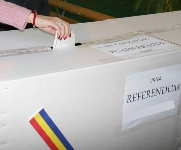 Românii din Diaspora vor să voteze la referendum