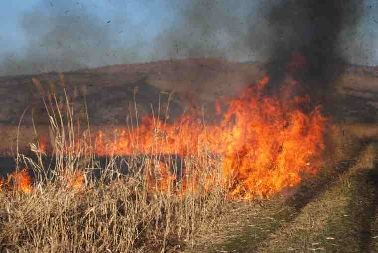 70 de hectare de vegetaţie uscată, mistuite de flăcări
