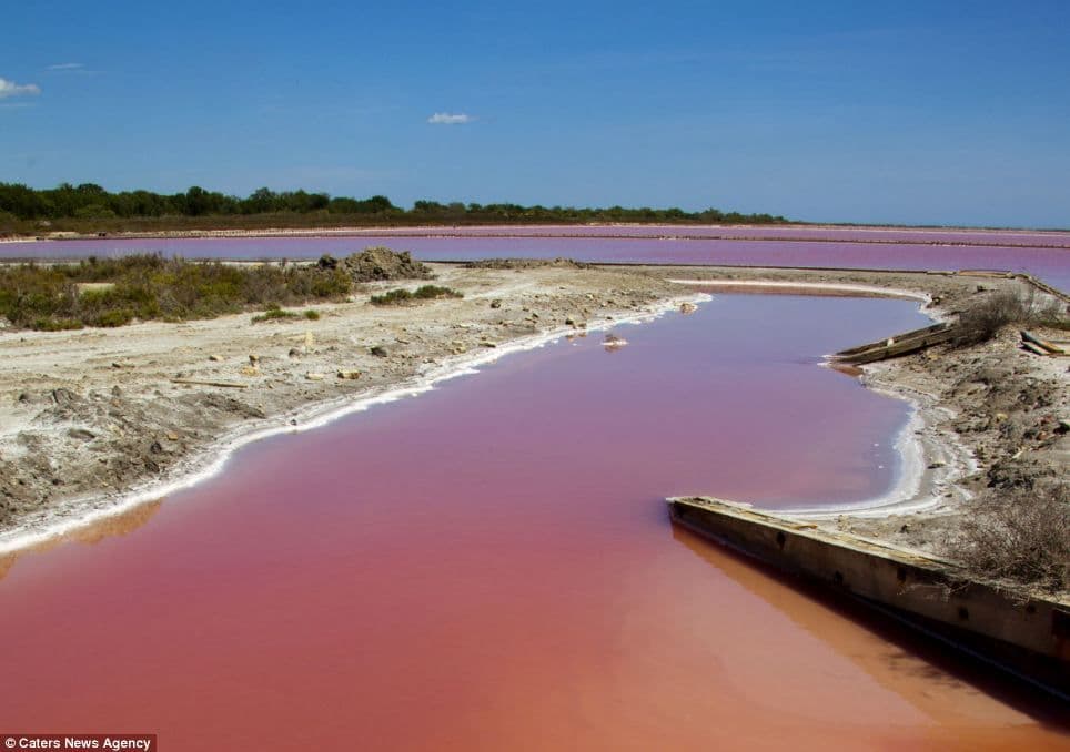 Un fenomen natural extraordinar: Lacul din Franţa care a devenit roşu ca sângele 