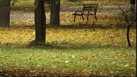 Vremea se răceşte timid. Vezi prognoza pe două săptămâni