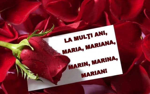 La mulți ani într-o zi specială : Sărbătoriții zilei de astăzi 8 septembrie 2012
