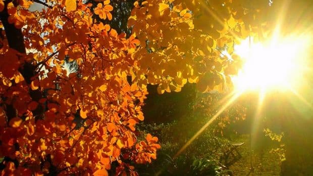 Toamnă dată peste cap: Săptămâna viitoare vor fi temperaturi de 30 de grade