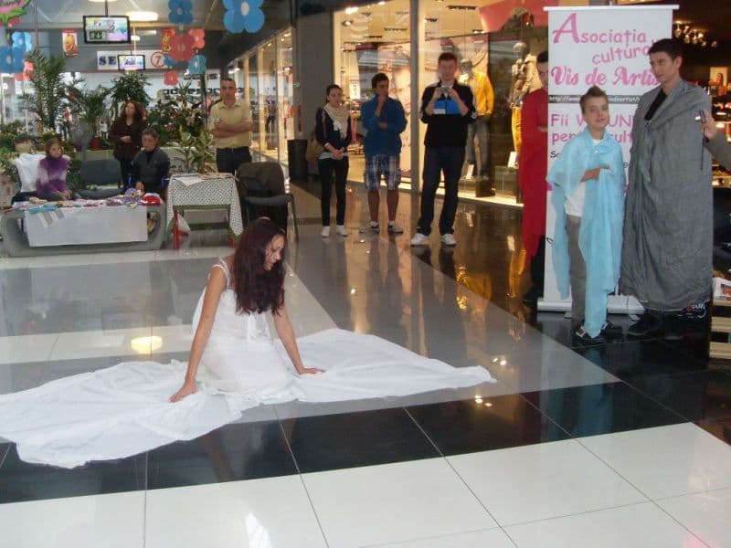 Vis de Artist la Târgul ONG Botoșani