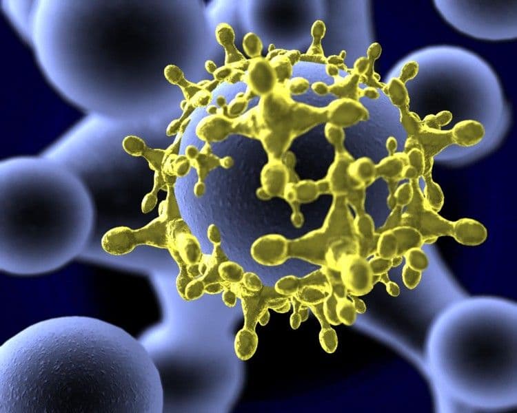 Un nou VIRUS PERICULOS pune pe jar lumea medicală