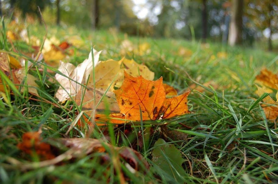 Vremea îi sperie pe meteorologi. Vezi ce temperaturi vor fi la începutul lunii octombrie