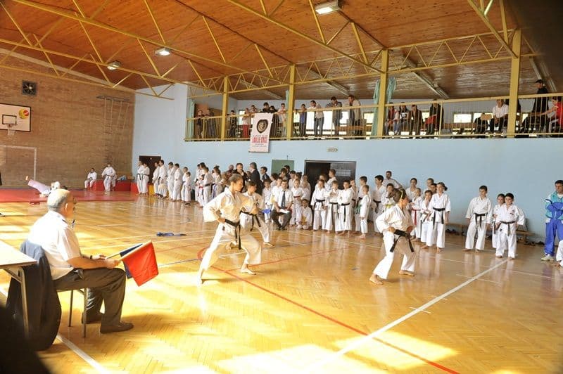 Copii dorohoieni pe culmile succesului la turneul organizat de Global Karate Asociation în Serbia
