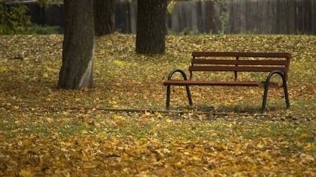 Prognoza meteo pentru luna octombrie