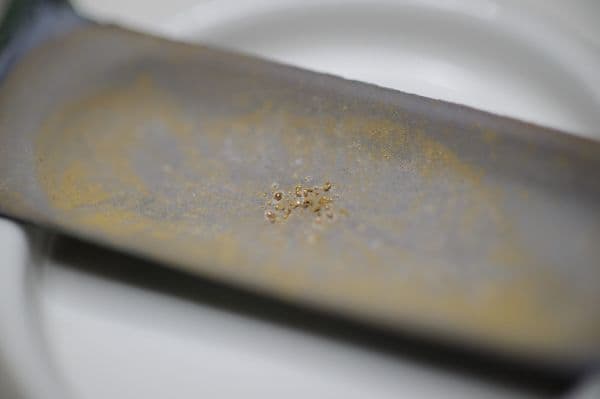 O  bacterie care produce aur pur a fost descoperită de cercetători