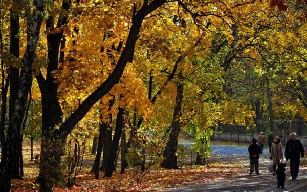 Prognoza meteo pentru weekend. Vreme bună de ieșit în natură