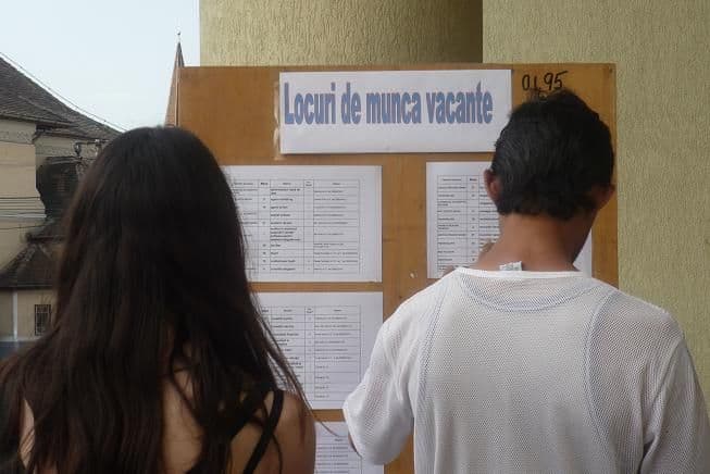 AJOFM: Locuri noi de muncă pentru economist, consilier instituție publică și muncitor constructor
