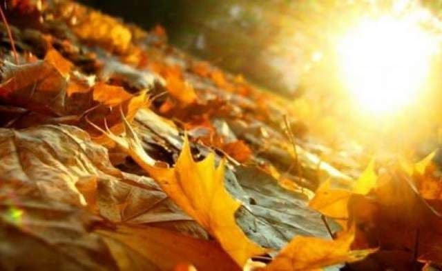 Primăvara revine pentru câteva zile! Aflaţi ce temperaturi vor fi în această săptămână!