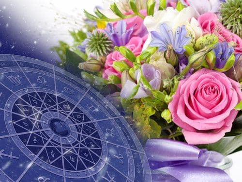 Horoscop: află ce floare te reprezintă! 