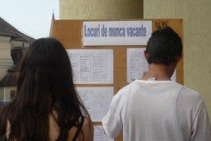 AJOFM: Locuri noi de muncă pentru pădurar, profesor și telefonist