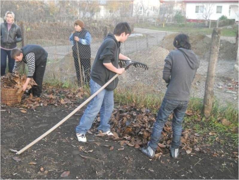 „Viitorul nostru, un mod de viață echitabil”, temă de proiect la Liceul Tehnologic Special „Ion Pillat” Dorohoi 