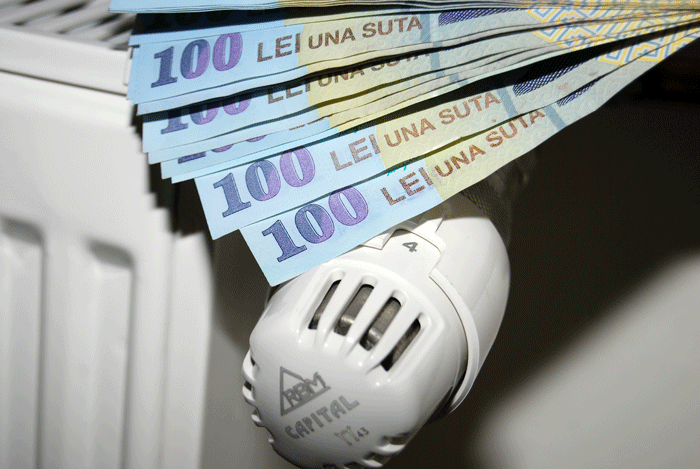 Banii pentru ajutoarele de încălzire pe lemne pentru luna noiembrie vor fi viraţi primăriilor din judeţ