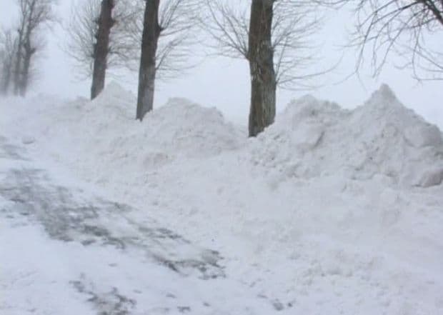 Vezi ce școli sunt închise din cauza vremii, în județul Botoșani