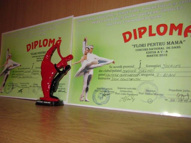 Clubul Copiilor Dorohoi2
