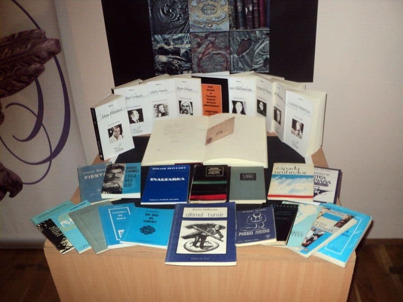 Editor la Ipotesti 04