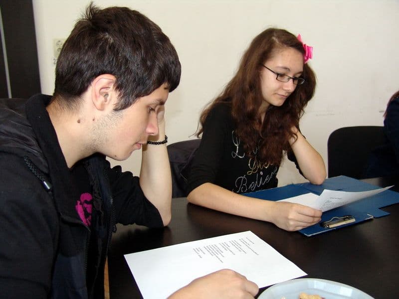 Cercul de la Dorohoi 4