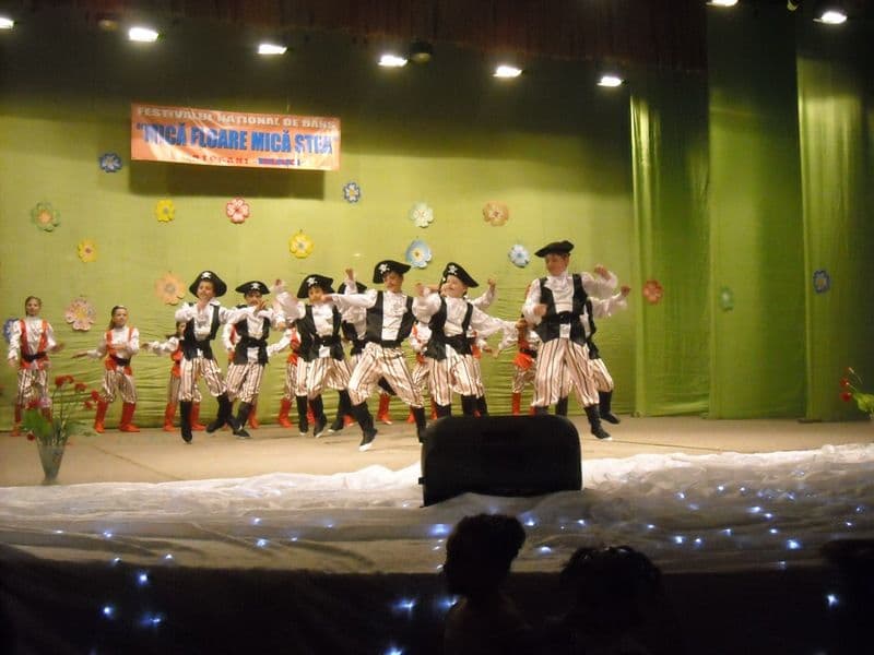 Mică floare, mică stea (5)