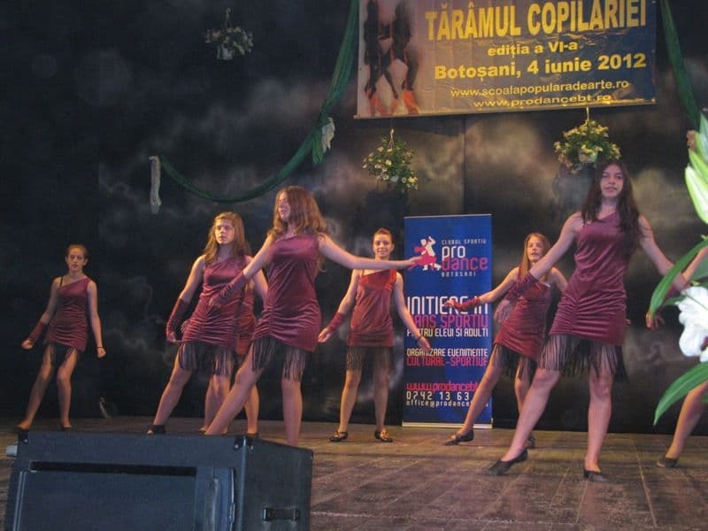 taramul copilariei (13)