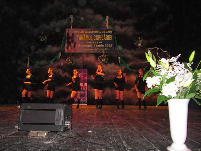 taramul copilariei (14)
