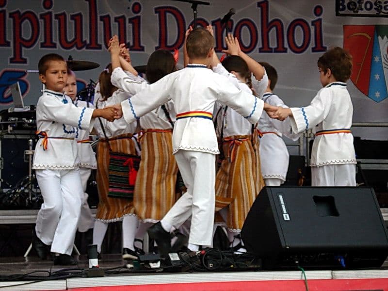 Ansamblul Firicelul 08