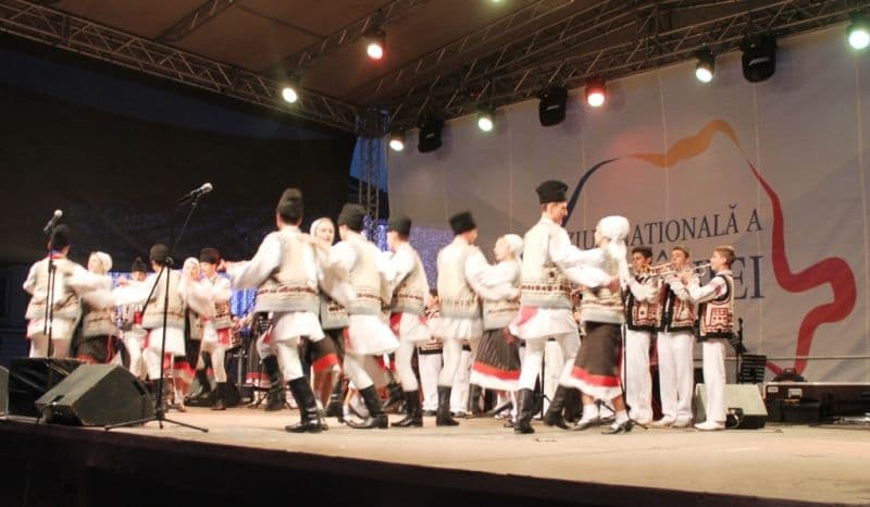Ansamblul Mugurelul la Alba Iulia (10)