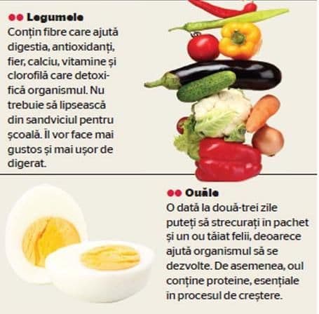 alimente2