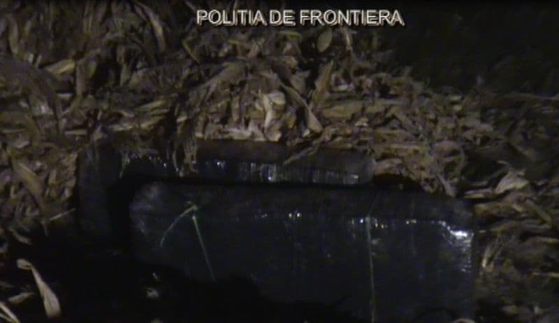 tigari de contrabanda_1