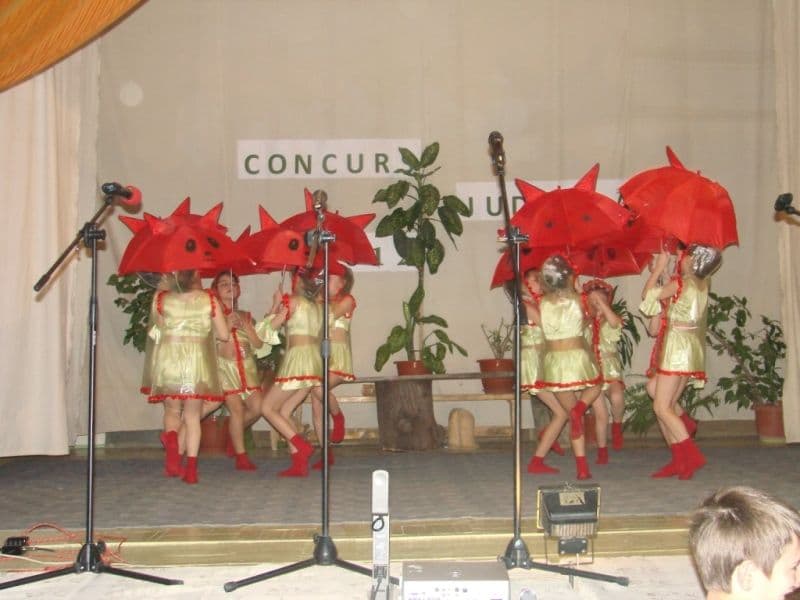 Concurs Judeţean de Interpretare (9)