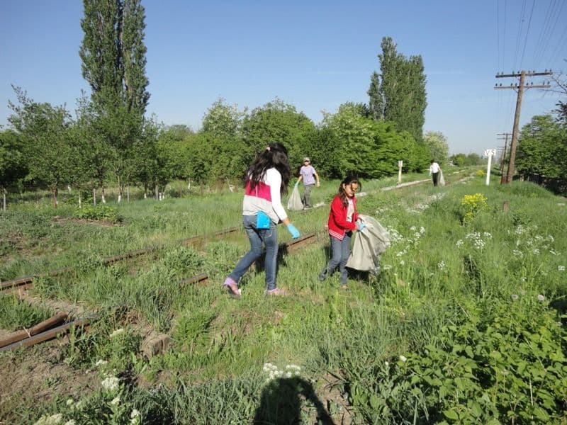 ecologizare Dorohoi (2)