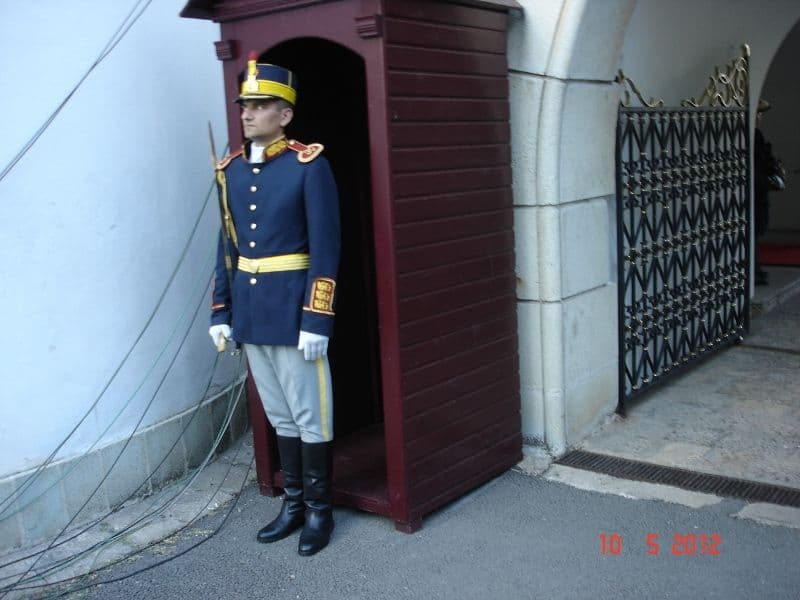 invitatie la palat (6)