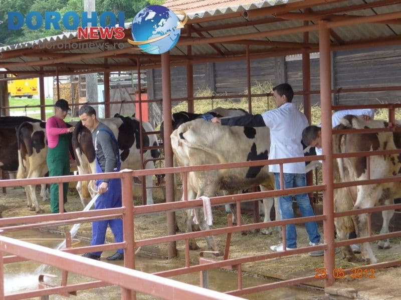 Activitate GSAV Sendriceni22