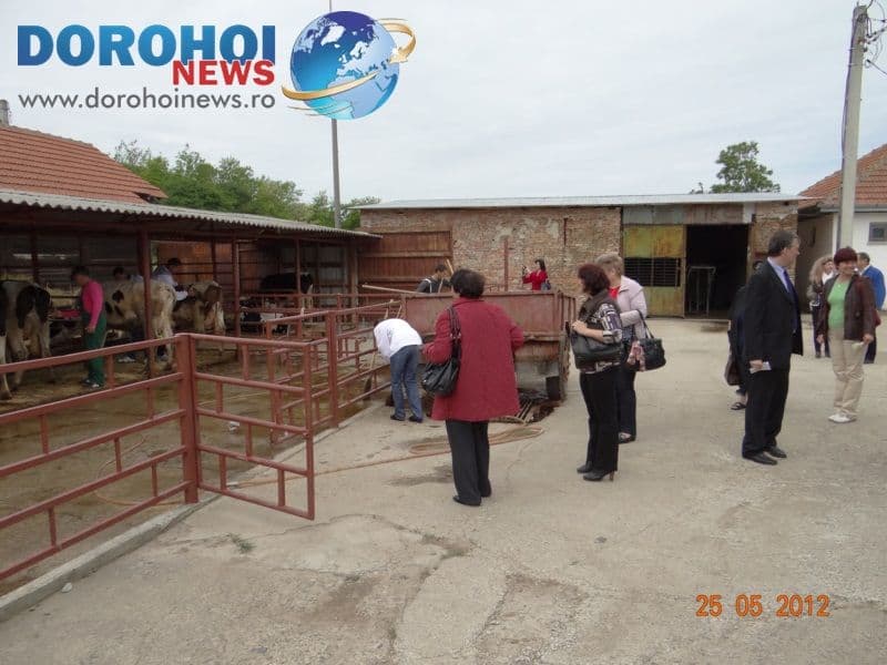 Activitate GSAV Sendriceni23