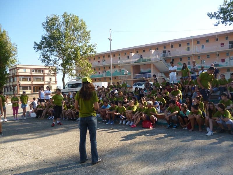 concurs (11)