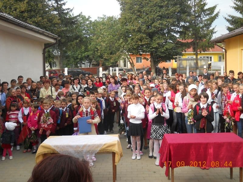 scoala Ibanesti (9)