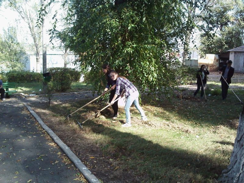 Eco Scoala_3