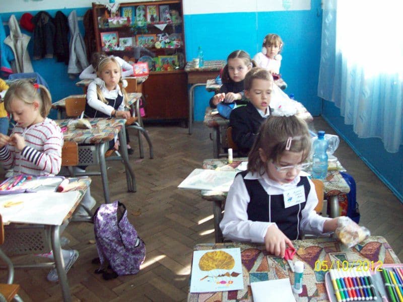 Dorohoi Şcoala Dimitrie Romanescu (2)