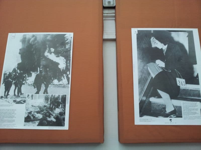 Dorohoi, holocaust (4)