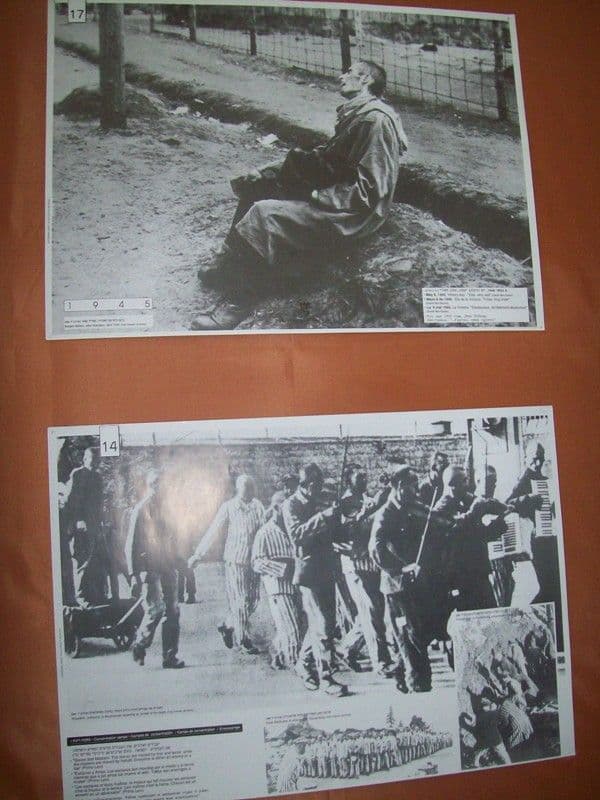 Dorohoi, holocaust (14)