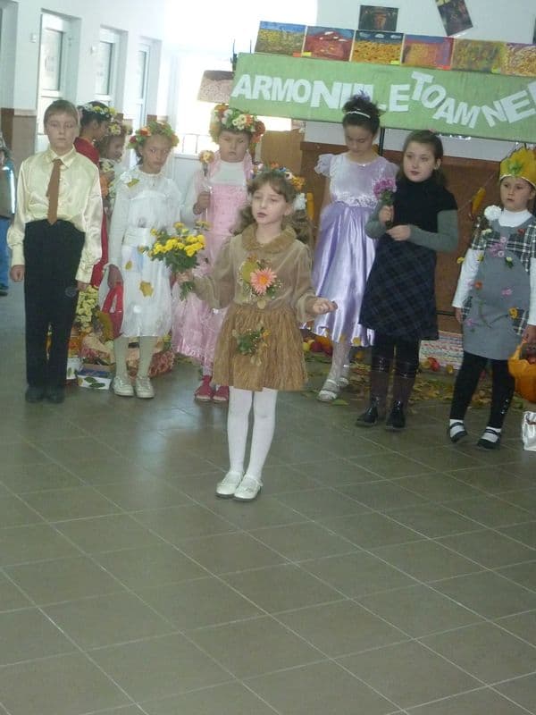 Dumbravita - Scoala Gimnaziala Mihail Sadoveanu - Zana Toamna (4)
