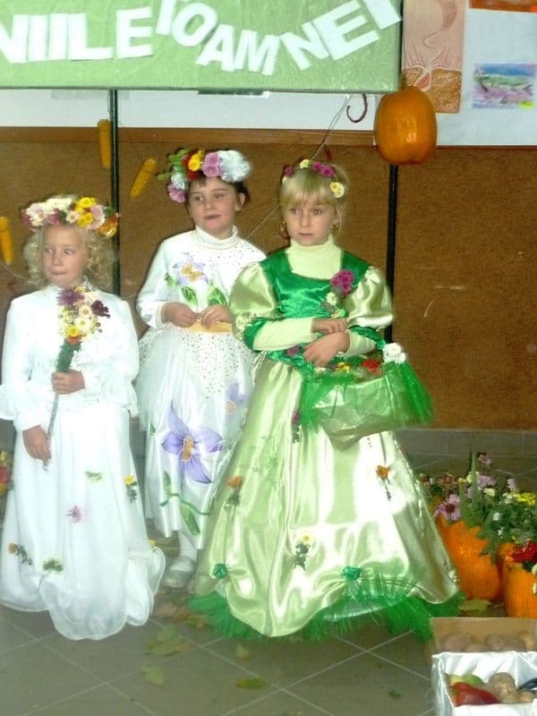 Dumbravita - Scoala Gimnaziala Mihail Sadoveanu - Zana Toamna (5)