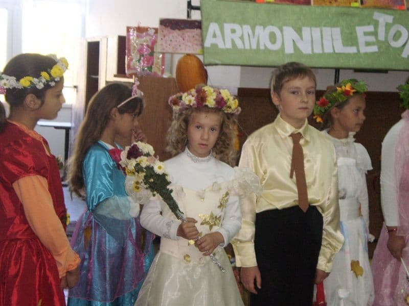 Dumbravita - Scoala Gimnaziala Mihail Sadoveanu - Zana Toamna (9)