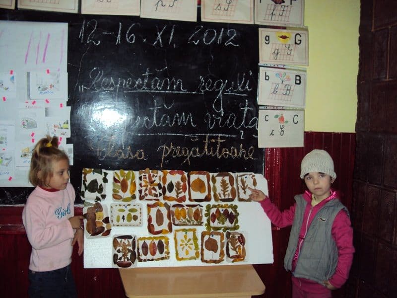 coala Dimitrie Pompeiu Broscăuţi (14)