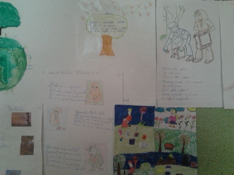 Scoala Hiliseu (6)