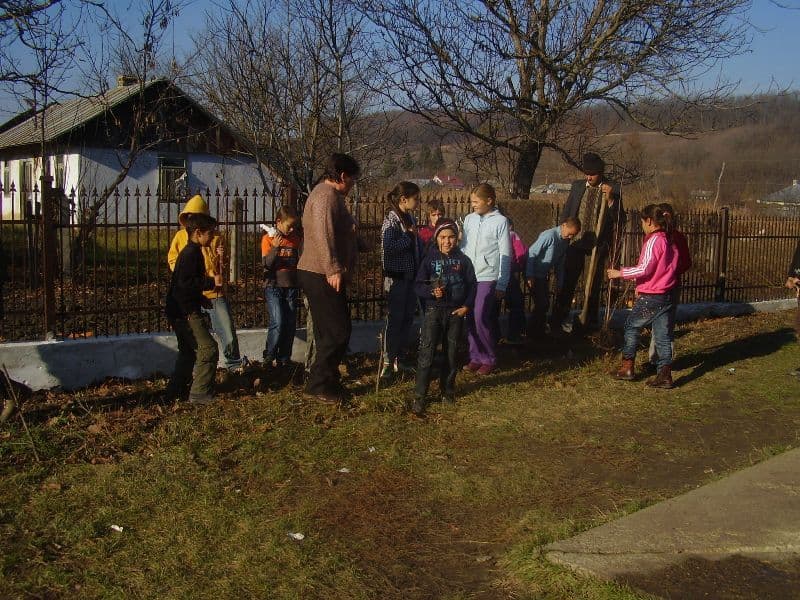 Scoala Hiliseu (11)