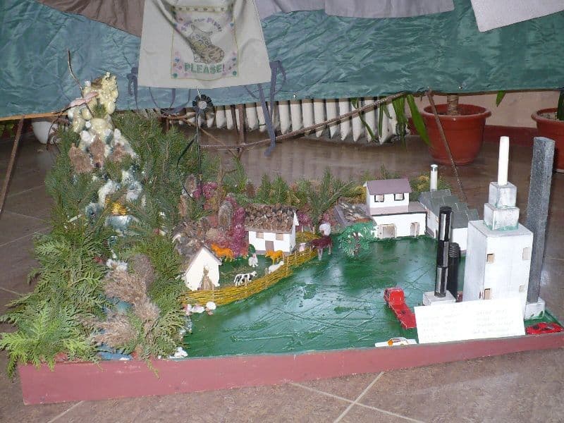 Liceul Regina Maria Dorohoi (6)
