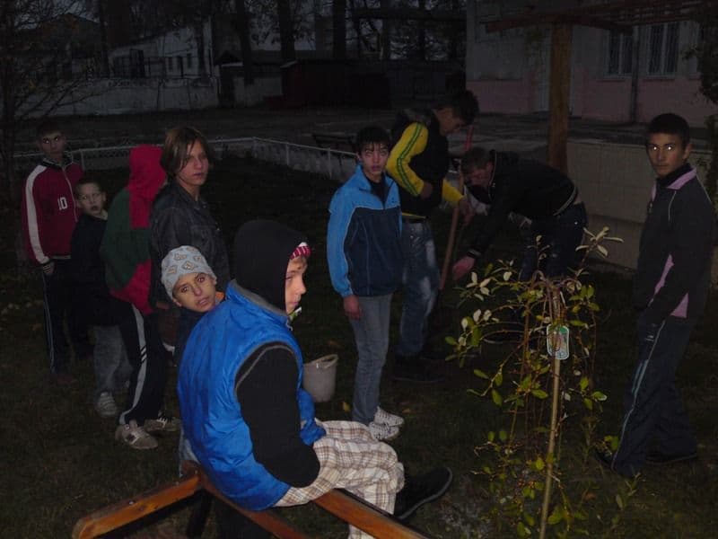 Liceul Tehnologic Special Ion Pillat Dorohoi (3)