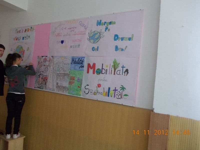 Ne mişcăm în direcţia bună (11)
